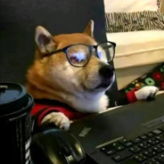 +ЖЕНА ЗЕЛЕНСКОГО+