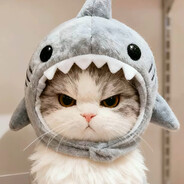 夜空洒满了星星