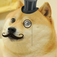 Mr Doge