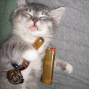highcat420