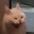 Ordi_Yeddy87 avatar