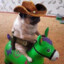 The sheriff