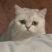 只有睡觉的时候不困