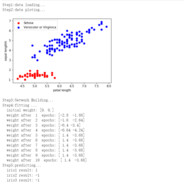 一个冷酷的厨房杀手