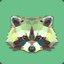 RACCOON