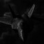 F22 WorryS