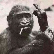 Neko"慲♐敭☠慭