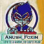 [DMZ] Anush_Foxin