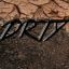 [DRTY] Bxnyjoey225