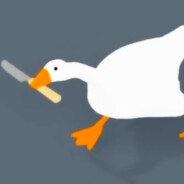 Goose - steam id 76561197969735204