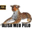 &lt; Alisa meu Pelo &gt;