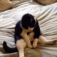 家住海边 喜欢浪