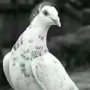 似水流年梦回乡