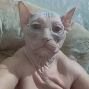 АНАЛЬНАЯ ПРОБКА