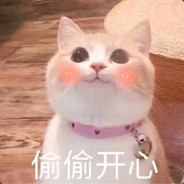 茶饼饼