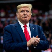 Trump motherkisser