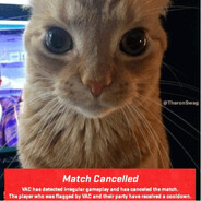 ziomson - steam id 76561199525375564