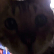 欢乐基米闹翻天