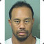 Tiger Woods with a DUI