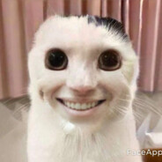 Alzimbors