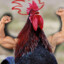 Rooster