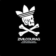 你看见我的杰尼龟了吗