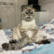 Fedya m40i Sochinsky $$$