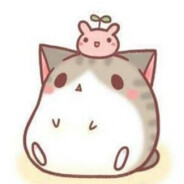 别问 问就是相信咱妈