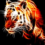 Tiger's Flow