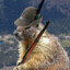 Alpini Marmot