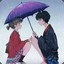 翻斗花园步枪手霹雳火