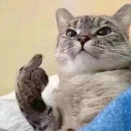 她说国产不能输