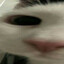 быдло