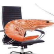 Shrimp the Galaxy Destroyer