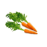 RS | Carrot