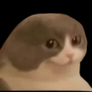 Ted