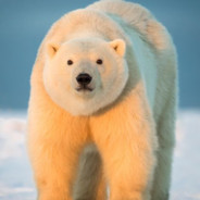 |xɐʇ1ɯ| stepujaca siostra