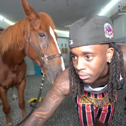 LEST3ER_MOL3ST3R skins.army