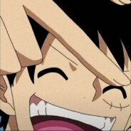 阳光彩虹小白马