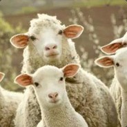 ThEloSTShEep
