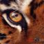 Marz The Eye of Tiger
