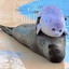 FatSeal1988