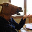 CelesteHornEnjoyer