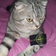 неразбериха