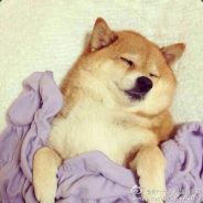 豆童童被打哭了