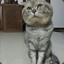 Taylor·
