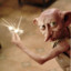 Dobby