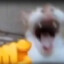 ALOOOOOOOOOOOO?!