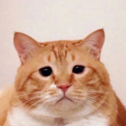 阿里嘎多美羊羊桑