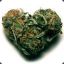 [Weed]